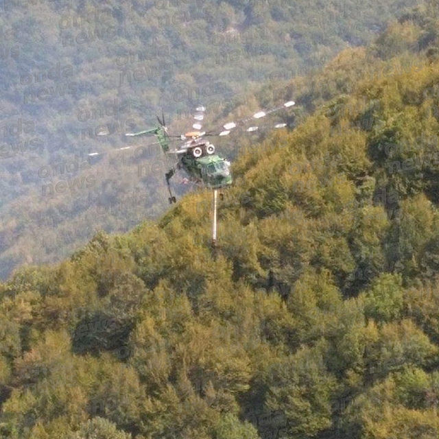 Sassano: incendio di vaste dimensioni lambisce località Peglio