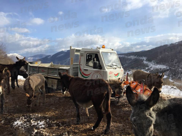 asineria montesano neve protezione civile 01