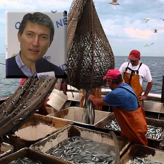 pellegrino pesca monobarca