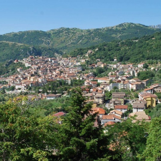 Monte San Giacomo: cavallo destinato al macello salvato da un’associazione di Salerno