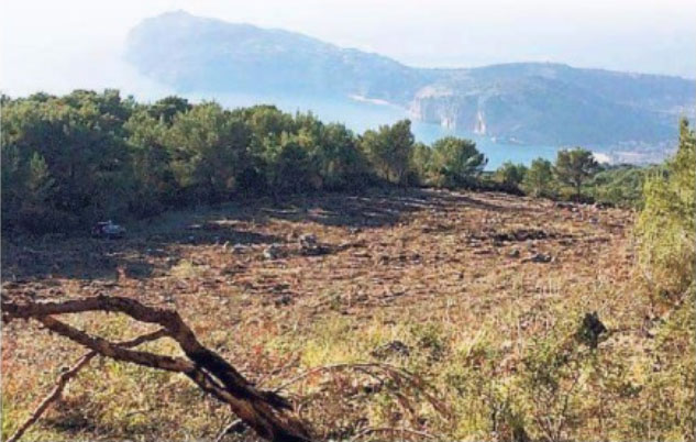 Distrutti tre ettari di pineta nel Parco Nazionale. Denunciata imprenditrice napoletana
