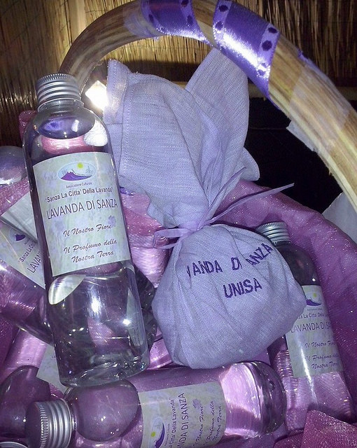 Sanza diventa “Città della Lavanda”. Il Consiglio comunale si esprime a favore della proposta