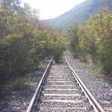 Comitato Ferrovia:”Con i soldi per gli svincoli tra Sala e Padula si riporti il treno nel Vallo”