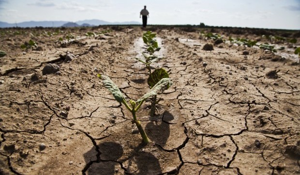 Emergenza idrica. L’appello del Consorzio di Bonifica Vallo di Diano contro gli sprechi d’acqua
