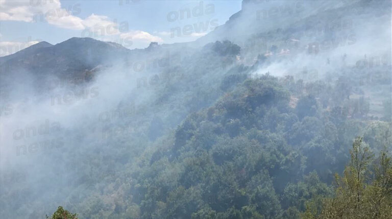 In fiamme le montagne di Sicignano. Decine di ettari di vegetazione andati in fumo