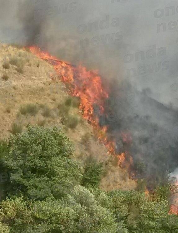 Regione Campania. Aiuti e sostegno alle attività danneggiate dagli incendi