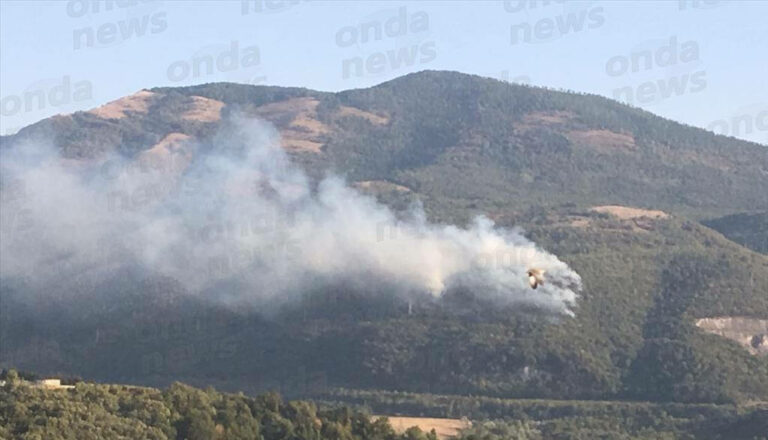 Vasto incendio a Sicignano degli Alburni. Bruciano numerosi ettari di bosco e vegetazione