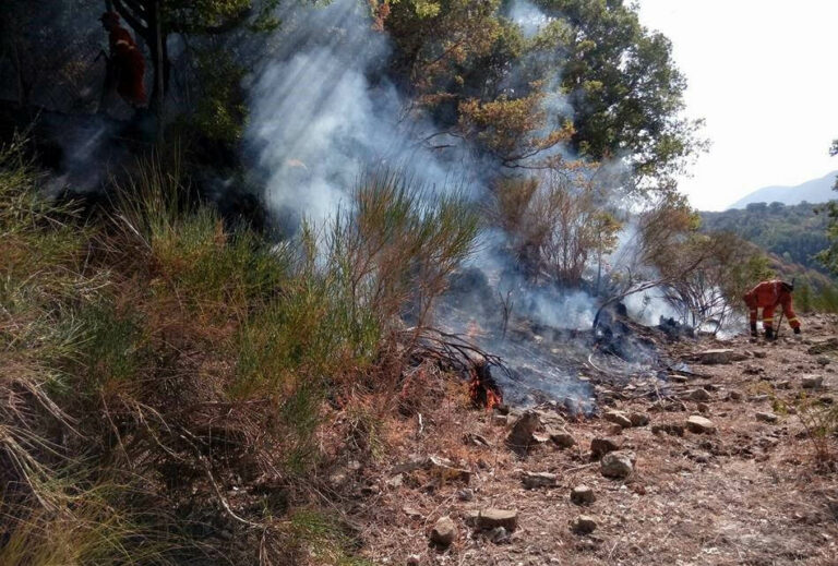 Roscigno: brucia da oltre 24 ore l’area nei pressi del Parco archeologico di Monte Pruno