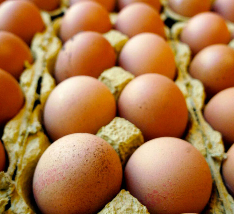 Caso Fipronil. Le uova contaminate finiscono in alcuni ristoranti e pasticcerie del potentino