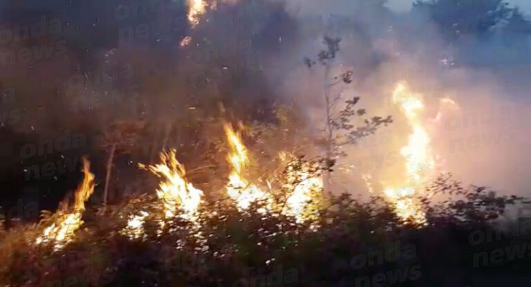 Incendio boschivo a Monte San Giacomo. Intervengono i Vigili del Fuoco