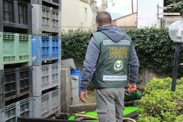 Reflui del frantoio smaltiti nel fiume Sele a Campagna. Denunciato il titolare dell’attività