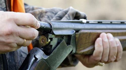Spara ai cani del vicino di casa. Denunciato 68enne di Campagna
