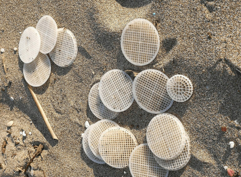 #cacciaaldischetto. Legambiente ripulisce le spiagge dopo il guasto del depuratore a Capaccio