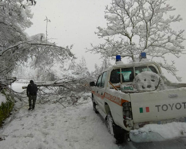 caduta-alberi-savoia-1