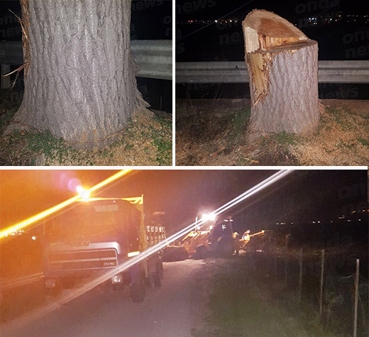 ev albero tagliato atena
