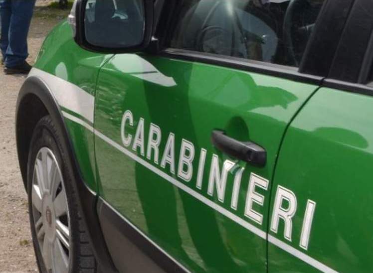 Incendi estivi, i Carabinieri Forestali di Salerno controllano i territori a rischio