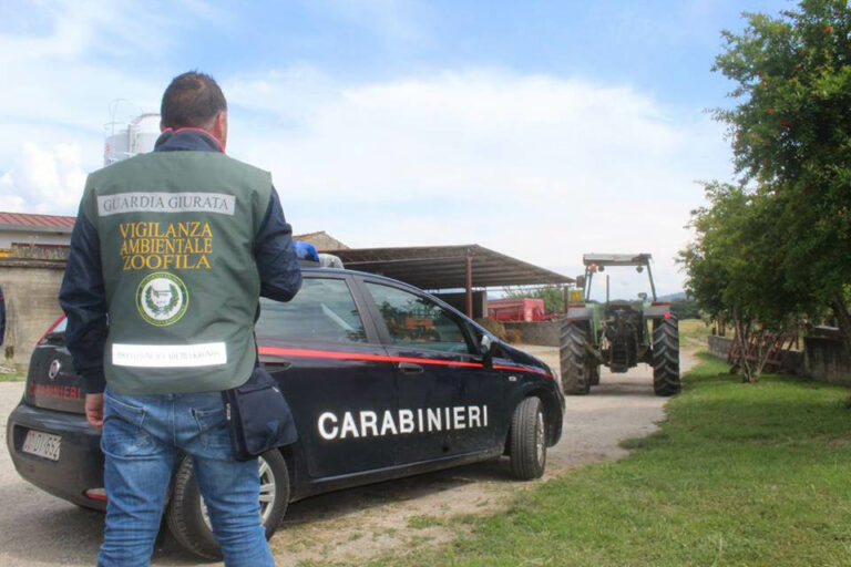 Smaltisce illegalmente i reflui zootecnici. Denunciato il titolare di un’azienda a Serre
