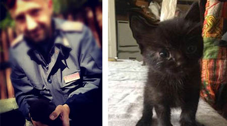 Polizia Gatto Tito