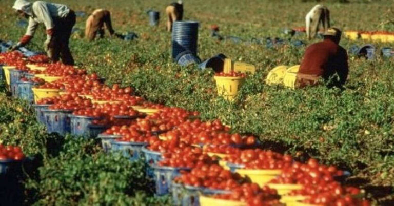 Coldiretti Basilicata lotta contro il caporalato incontrando le Questure e l’Ispettorato del Lavoro