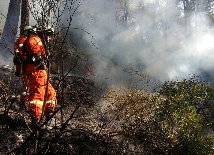 incendio boschivo