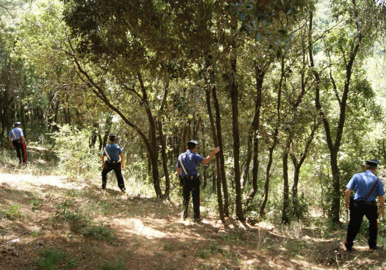 Si allontana in cerca di funghi e scompare. Ore di apprensione per un anziano di Vallo della Lucania