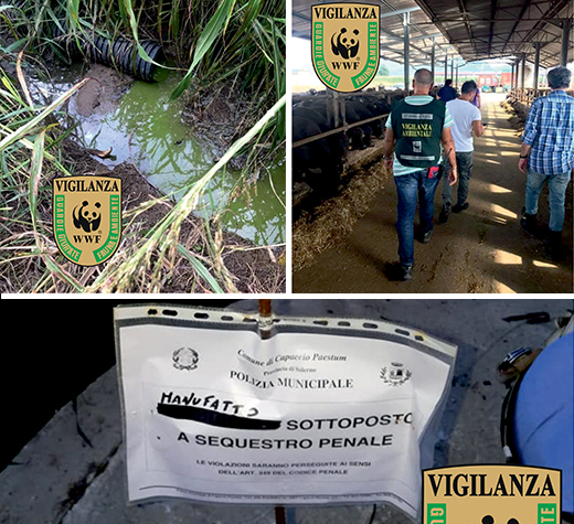 sequestro-azienda-sele-ev