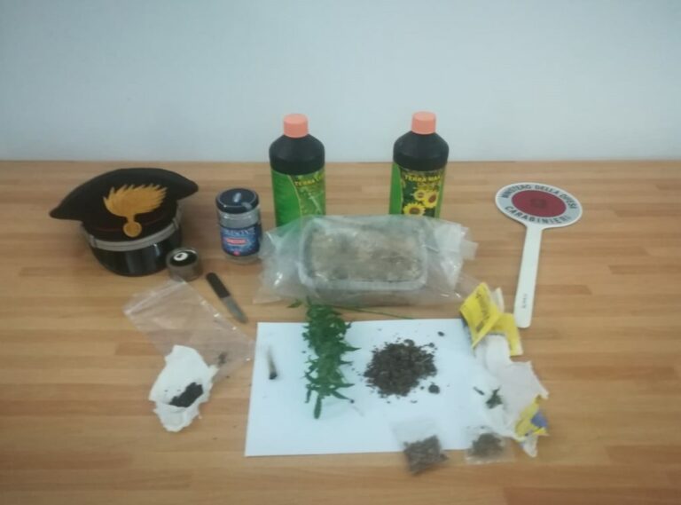 Nasconde in casa piante di marijuana e funghi allucinogeni. Denunciato 24enne a Baragiano