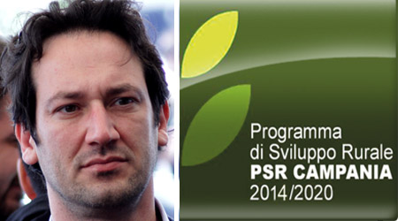 Fondi psr cammarano