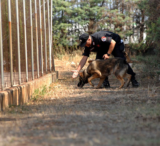 carabineri-cane-cinofili-ev