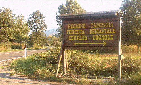 cerreta cognole