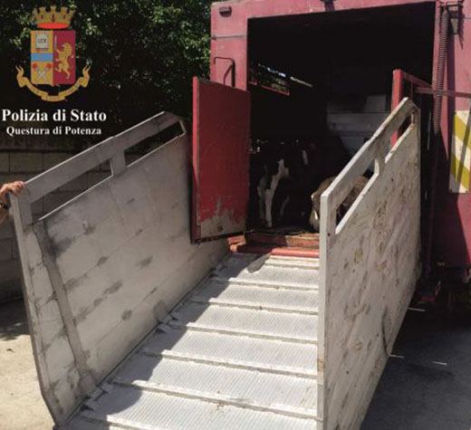 trasporto animali raccordo sicignano evidenza