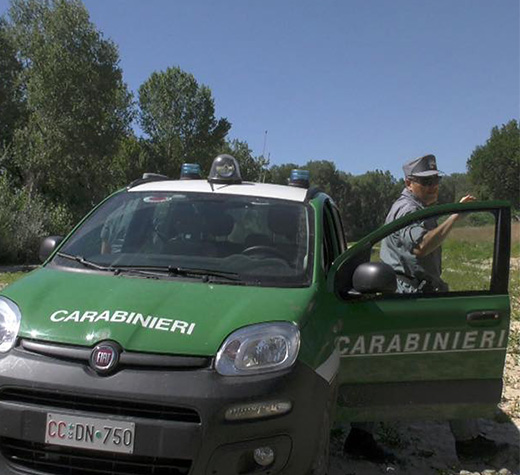 carabinieri forestali ev