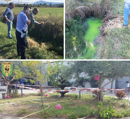 sequestro-azienda-bufalina-capaccio-ottobre-ev