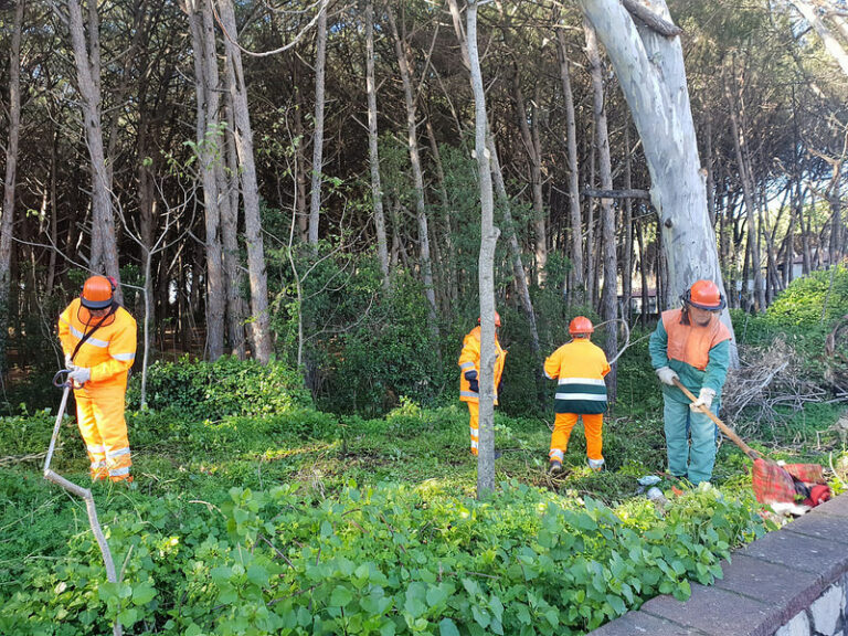 Al via a Capaccio i lavori di pulitura della pineta di via Poseidonia danneggiata dagli incendi