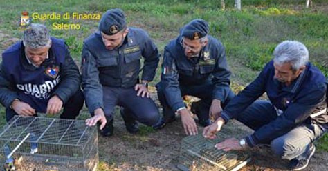 fauna protetta denuncia fb