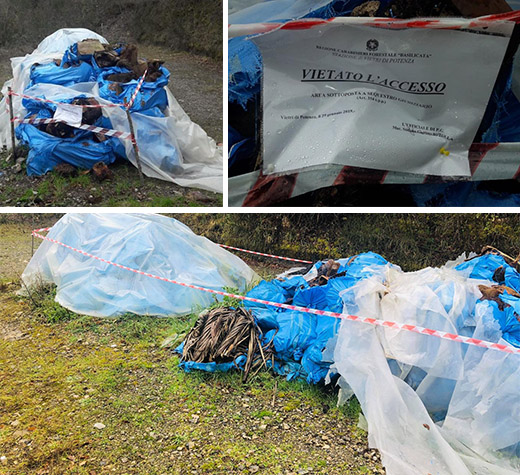 sequestro vietri potenza evidenza