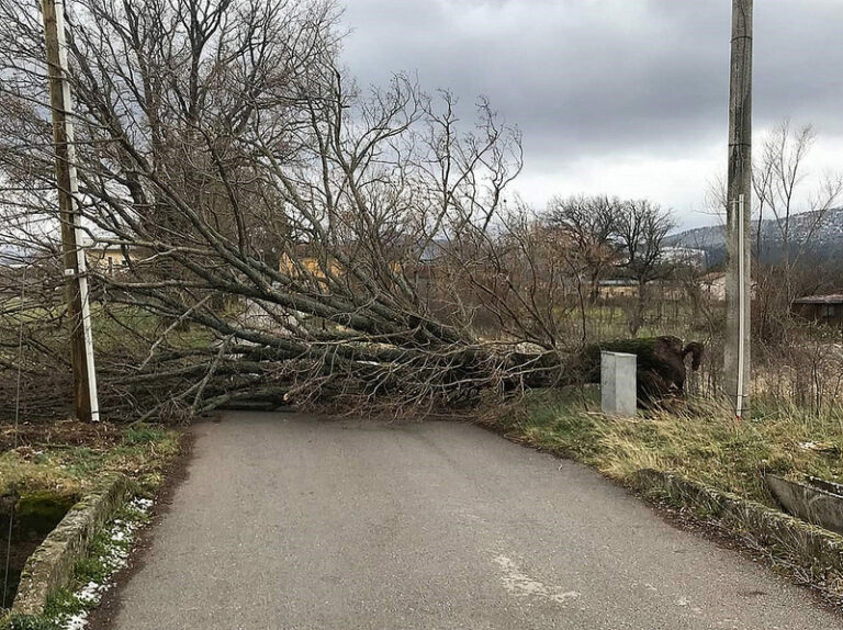 Forti raffiche di vento. Alberi abbattuti e disagi in Val d’Agri