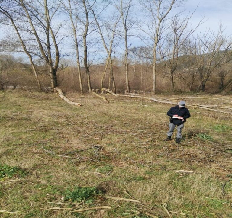Taglio abusivo di pioppi a Romagnano al Monte. Sequestrati 25 quintali di legna, denunciata una persona