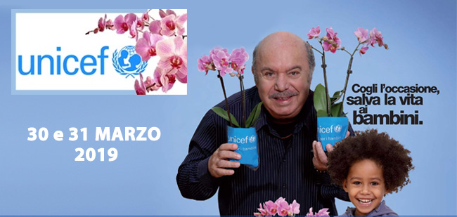 orchidea-2019