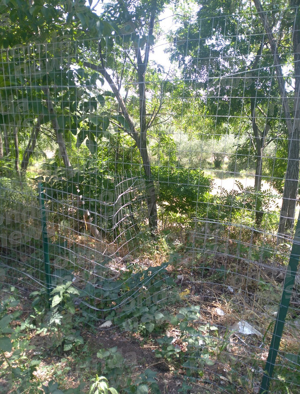 Ladri in azione nell’area di servizio dell’A2 a Campagna. Rubato gasolio dal gruppo elettrogeno