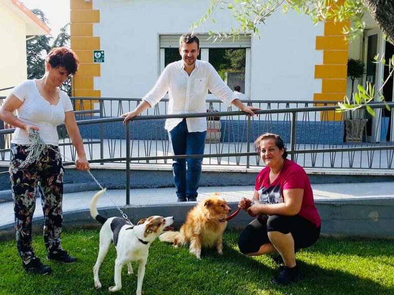Dal canile alle famiglie. A Vietri di Potenza affidati i primi 2 cani,al nucleo familiare esenzione Tari