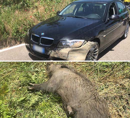 incidente sanza ev