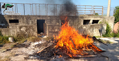 combustione illecita rifiuti agropoli fb