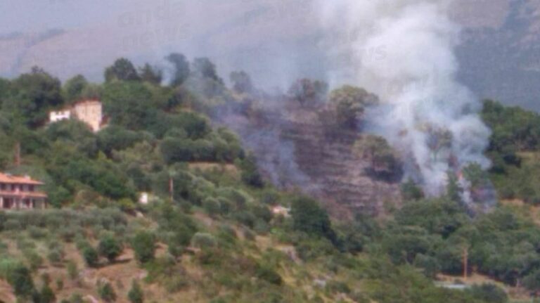 Paura a Torraca. Vasto incendio distrugge ettari di vegetazione a poca distanza dalle abitazioni