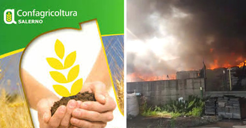 confagricoltura salerno incendio battipaglia