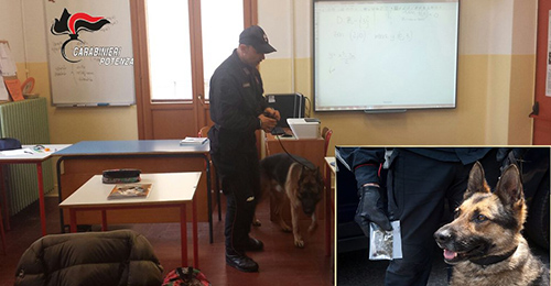 controlli antidroga potenza fb