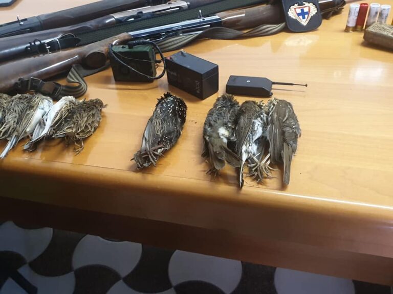 operazione capaccio 2