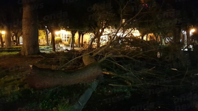 albero caduto a sant arsenio