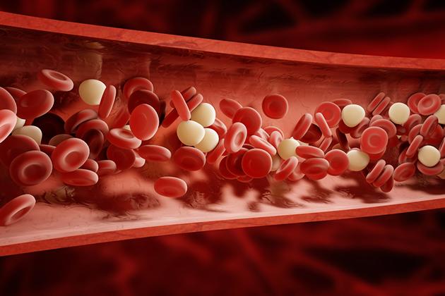 Farmacia 3.0 – I gemmoterapici vengono in aiuto in caso di piastrine basse