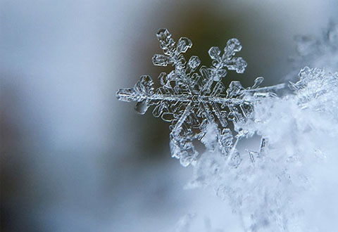 allerta meteo gelate-480x330-1